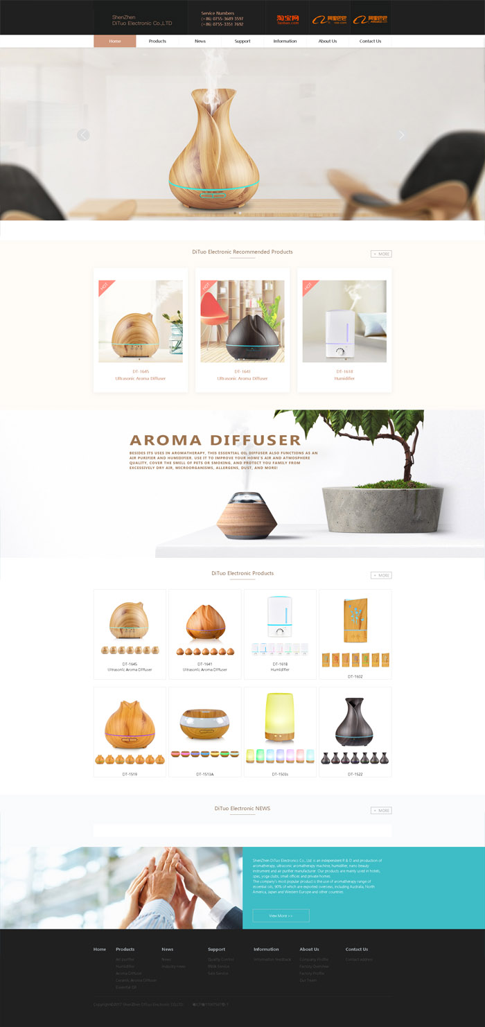 深圳市帝拓電子有限公司-杭州盤網網站建設作品